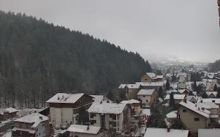 Szczyrk #2 - 31-01-2026 06:48