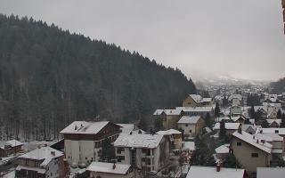 Szczyrk #2 - 31-01-2026 07:49