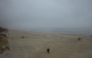 Jantar Plaża - 02-11-2025 12:29