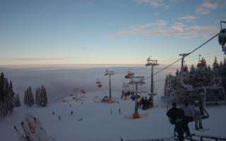 Gryglówka - Górna Stacja Zieleni - 01-02-2026 14:30