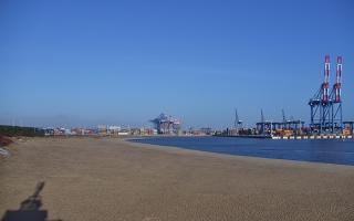 Gdańsk - Stogi #1 - 04-03-2026 07:11