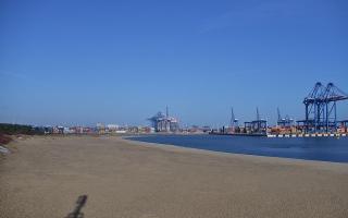 Gdańsk - Stogi #1 - 04-03-2026 07:41