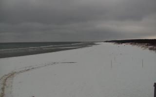 Gdańsk - Stogi#2 - 29-01-2026 11:28