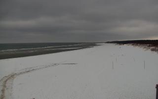 Gdańsk - Stogi#2 - 29-01-2026 11:43