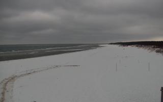 Gdańsk - Stogi#2 - 29-01-2026 12:22