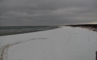 Gdańsk - Stogi#2 - 29-01-2026 12:45