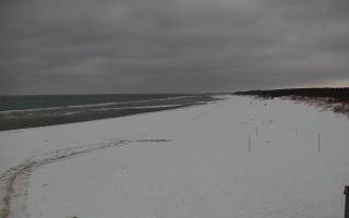 Gdańsk - Stogi#2 - 29-01-2026 13:31