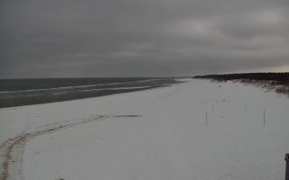 Gdańsk - Stogi#2 - 29-01-2026 13:47