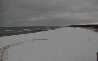 Gdańsk - Stogi#2 - 29-01-2026 13:54