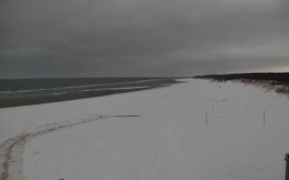 Gdańsk - Stogi#2 - 29-01-2026 14:10