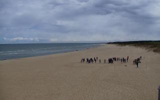 Gdańsk - Stogi#2 - 28-04-2026 10:14