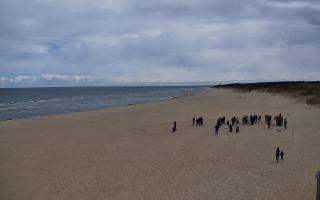 Gdańsk - Stogi#2 - 28-04-2026 10:22