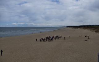 Gdańsk - Stogi#2 - 28-04-2026 10:37