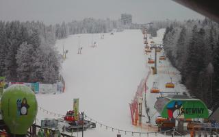 Krynica Zdrój  Arena Słotwiny - 01-02-2026 14:19