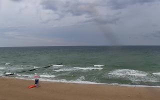 Mielno - widok na plażę zachód - 11-07-2025 07:02