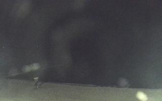 Mielno - widok na plażę zachód - 28-08-2025 01:39
