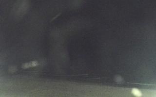 Mielno - widok na plażę zachód - 29-10-2025 21:57