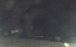 Mielno - widok na plażę zachód - 29-10-2025 22:51