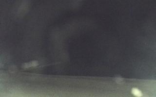 Mielno - widok na plażę zachód - 09-03-2026 20:20