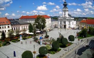Wadowice Rynek - 02-08-2025 11:39