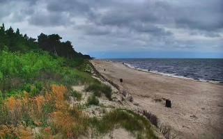 Ostrowo Zachód - 03-08-2025 15:24