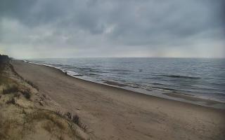 Ostrowo Zachód - 02-11-2025 13:29