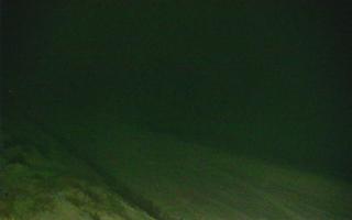 Ostrowo Zachód - 17-12-2025 19:33