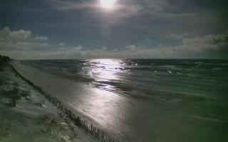 Ostrowo Zachód - 31-01-2026 04:07