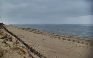 Ostrowo Zachód - 17-03-2026 10:11