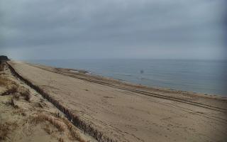 Ostrowo Zachód - 17-03-2026 11:15