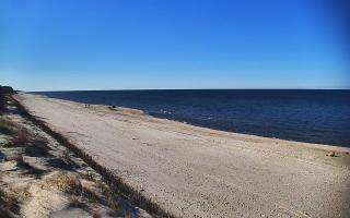 Ostrowo Zachód - 21-03-2026 13:30