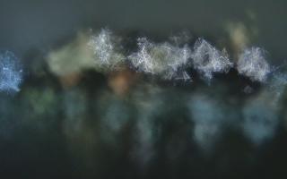 Kraków - Wawel panorama zamku - 30-01-2026 22:23