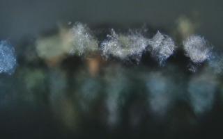 Kraków - Wawel panorama zamku - 30-01-2026 22:31