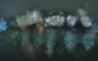 Kraków - Wawel panorama zamku - 30-01-2026 22:38