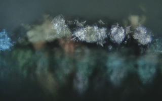 Kraków - Wawel panorama zamku - 30-01-2026 22:46