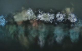 Kraków - Wawel panorama zamku - 30-01-2026 22:53