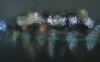 Kraków - Wawel panorama zamku - 31-01-2026 02:03