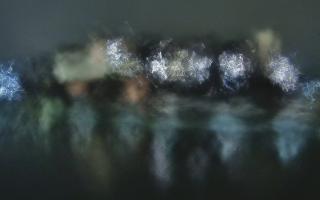 Kraków - Wawel panorama zamku - 31-01-2026 02:11