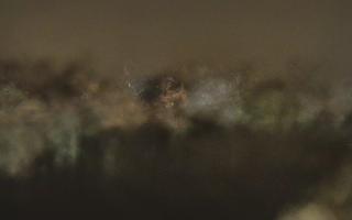 Kraków widok na Most Grunwaldzki - 30-01-2026 22:23