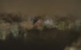 Kraków widok na Most Grunwaldzki - 30-01-2026 23:16