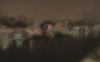 Kraków widok na Most Grunwaldzki - 31-01-2026 01:56