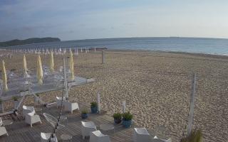 Sopot - Klub Atelier - 17-06-2025 04:24