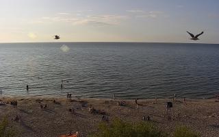 Międzywodzie - 02-08-2025 17:31