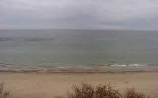 Międzywodzie - 02-11-2025 06:19