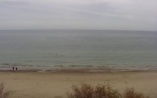 Międzywodzie - 02-11-2025 08:43