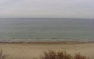 Międzywodzie - 02-11-2025 09:59