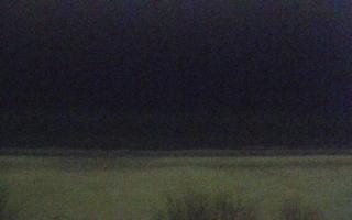 Międzywodzie - 17-12-2025 16:52