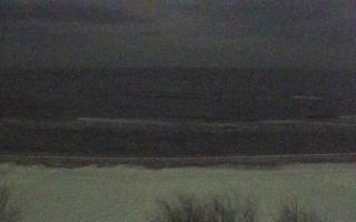 Międzywodzie - 31-01-2026 04:10