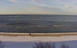 Międzywodzie - 01-02-2026 14:23