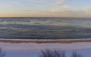 Międzywodzie - 01-02-2026 15:09